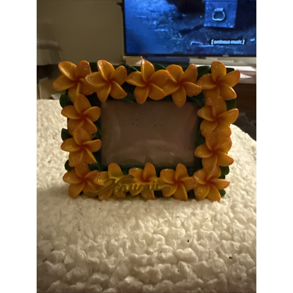Hawaii Flower Photo Frame  Orange & Yellow Hibiscus 6.5x5.25 Pre Owned